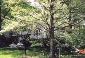 house_4a.jpg (231338 bytes)
